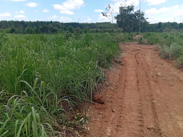 Imagem 2: Sitios Apartir 5.000 M²..Financiamento Proprio...