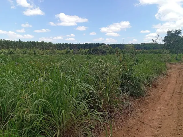Imagem 3: Sitios Apartir 5.000 M²..Financiamento Proprio...