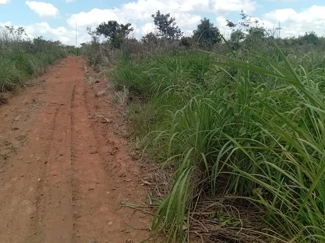 Imagem 4: Sitios Apartir 5.000 M²..Financiamento Proprio...