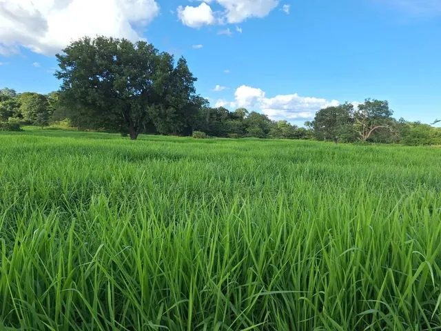 Imagem: Sitio na Estrada da Produção !