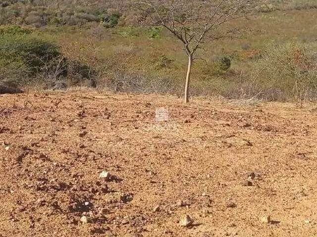 Imagem: A fazenda possui 2.000m² de Área, Imóvel novo e está