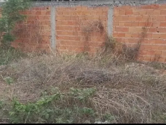 Imagem: Lote Plano e Murado - Augusta Mota / Major
