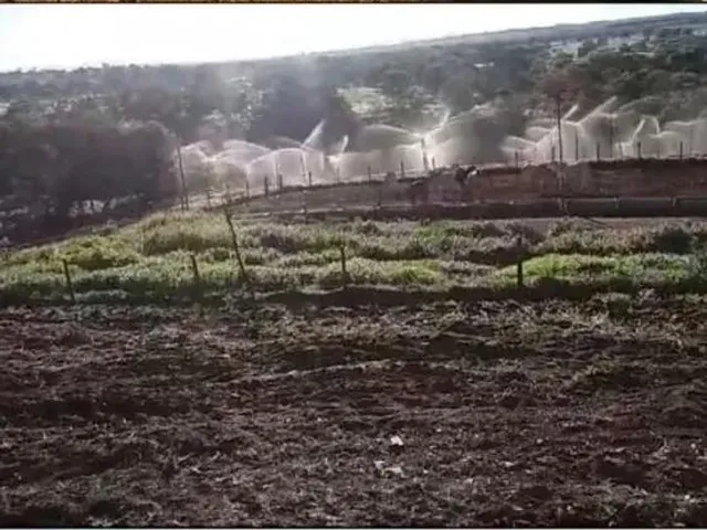 Imagem: Área Produtiva /Agricultura /Pecuária