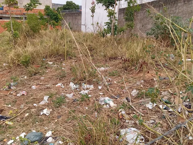 Imagem: Lote 300 M² Área Central Bairro Maracanã
