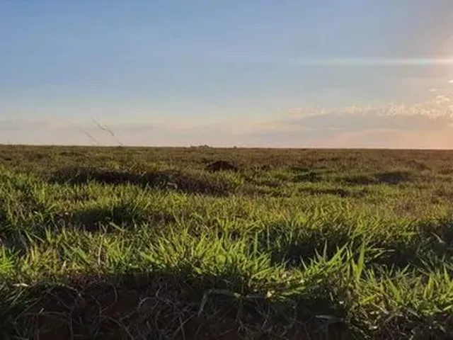 Imagem: Bonito de Minas - Fazenda 3000Hectares