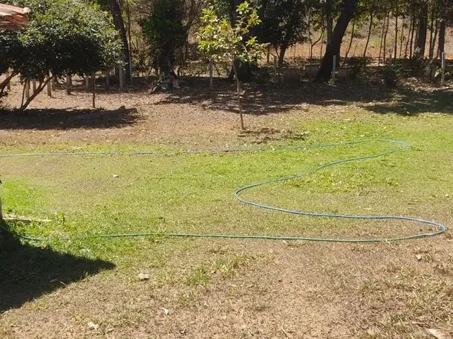 Imagem 1: Sítio 7 Alqueires, Brejão