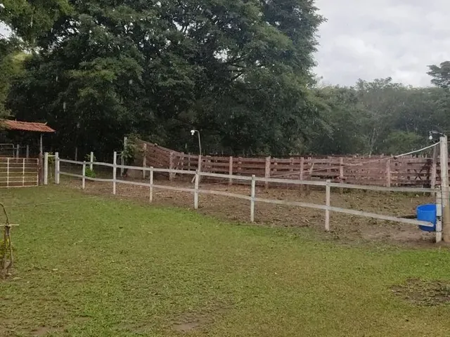 Imagem 5: Sítio 7 Alqueires, Brejão