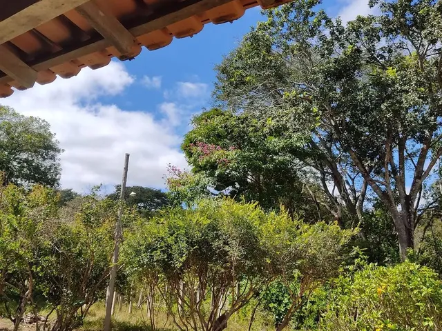 Imagem 7: Sítio 7 Alqueires, Brejão