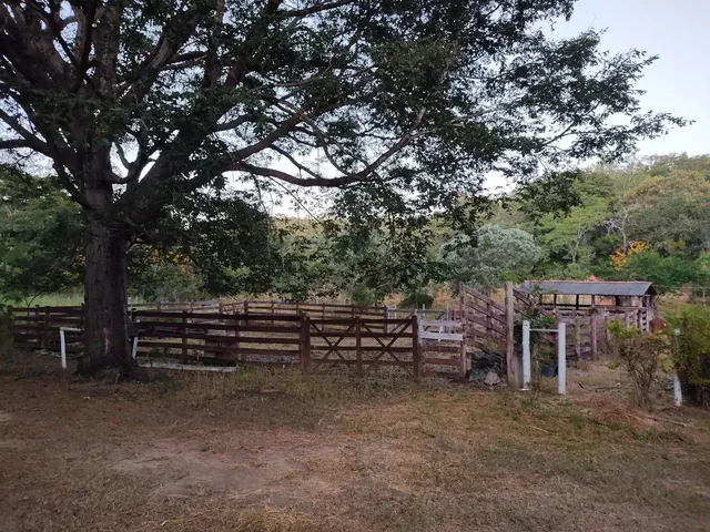 Imagem 8: Sítio 7 Alqueires, Brejão