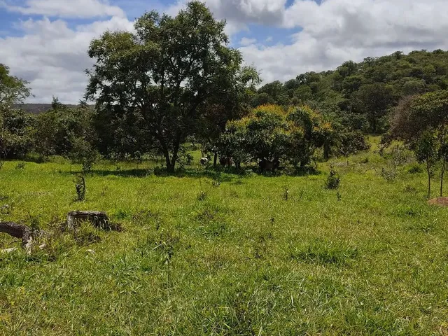 Imagem 9: Sítio 7 Alqueires, Brejão