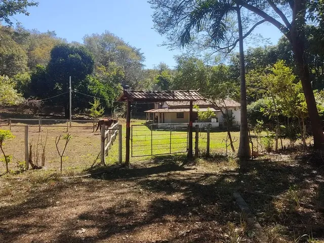 Imagem 15: Sítio 7 Alqueires, Brejão