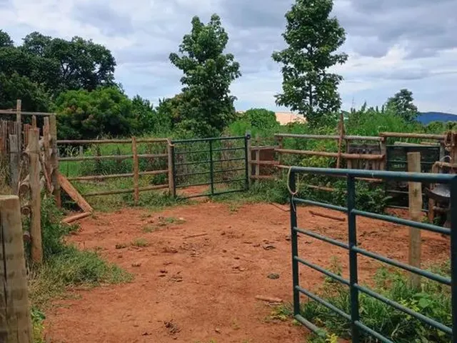 Imagem: Chácara 3 Hectares.estrada da Produção.aceita