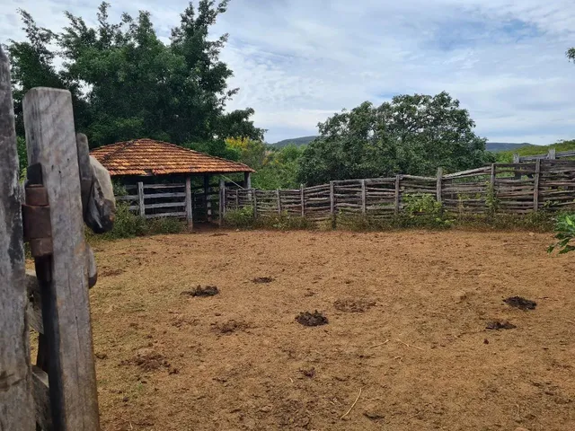 Imagem: Fazendinha /Região Montes Claros.149 Hectares!!!