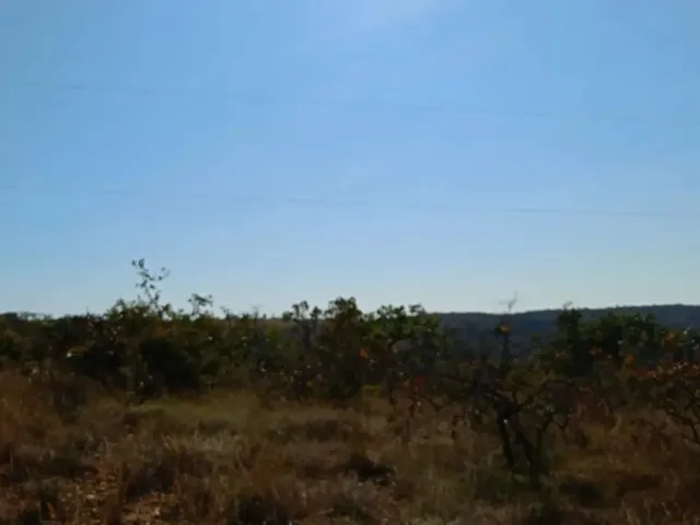 Imagem 1: Chácara 5.000 M²...Com Poço Artesiano!!!!129.900.00