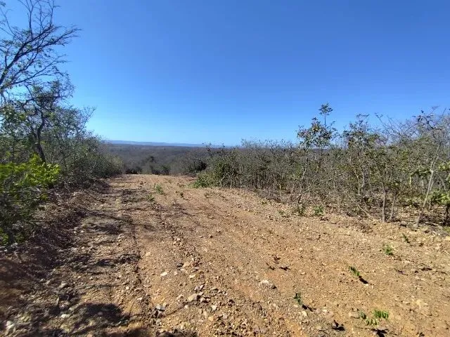 Imagem: Terrenos de 1.000 M2 a 6Km de Montes Claros