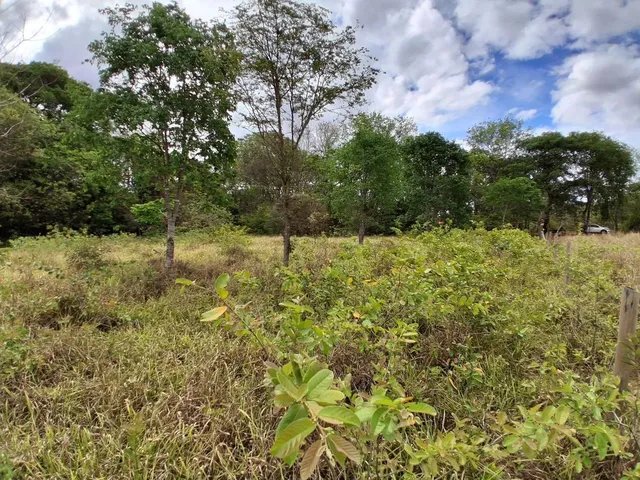 Imagem: Terreno Rural 5.264 M² - / Antônio Olinto