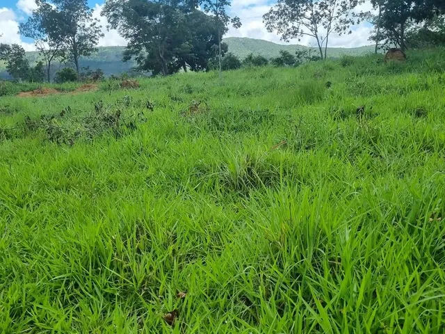 Imagem: Sitio 22 Hectares Valor 195.000