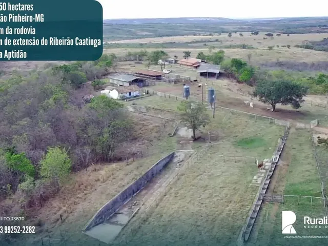 Imagem: Fazenda em João Pinheiro-Mg