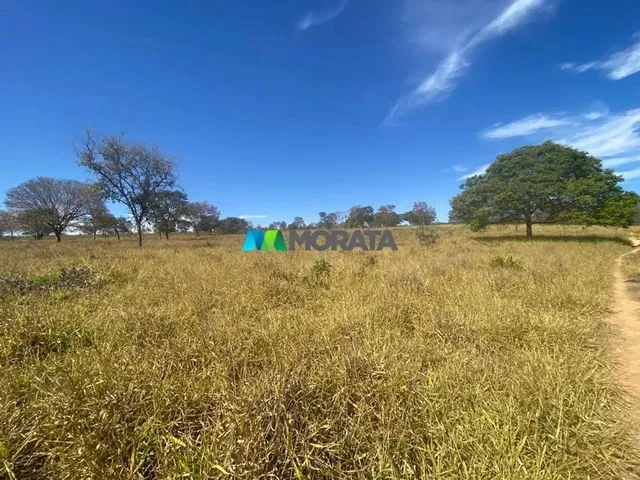 Imagem: Fazenda À Venda - 500 Hectares - Corinto