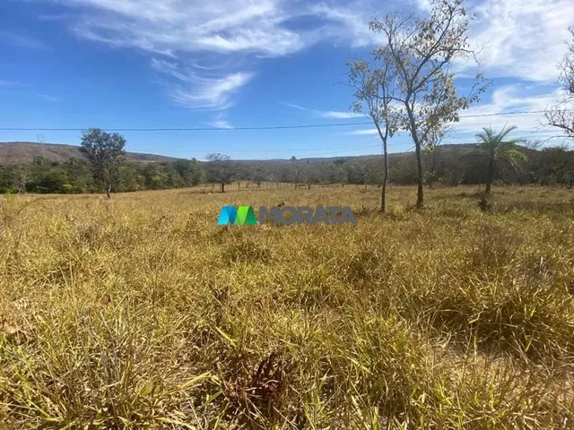 Imagem 14: Fazenda À Venda - 500 Hectares - Corinto (Mg