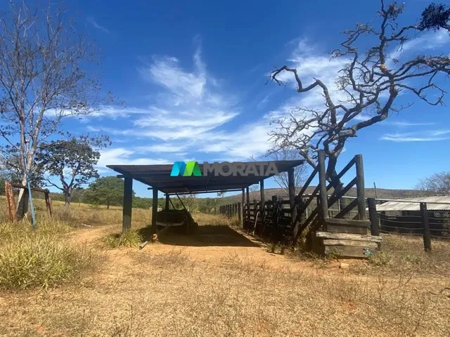 Imagem 9: Fazenda À Venda - 500 Hectares - Corinto (Mg