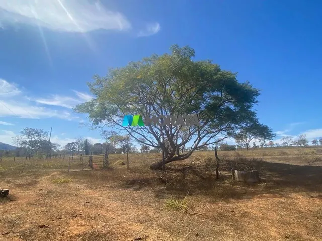 Imagem 10: Fazenda À Venda - 500 Hectares - Corinto (Mg