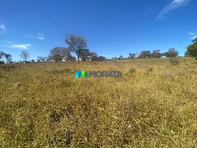 Imagem 15: Fazenda À Venda - 500 Hectares - Corinto (Mg