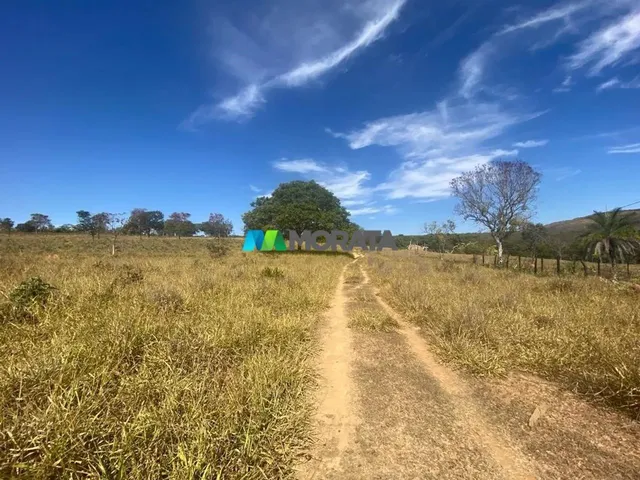 Imagem 16: Fazenda À Venda - 500 Hectares - Corinto (Mg