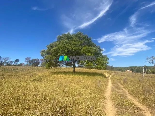 Imagem 11: Fazenda À Venda - 500 Hectares - Corinto (Mg