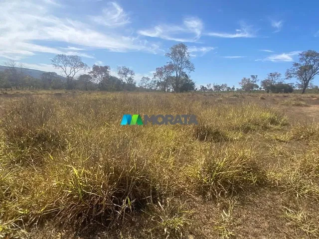 Imagem 12: Fazenda À Venda - 500 Hectares - Corinto (Mg
