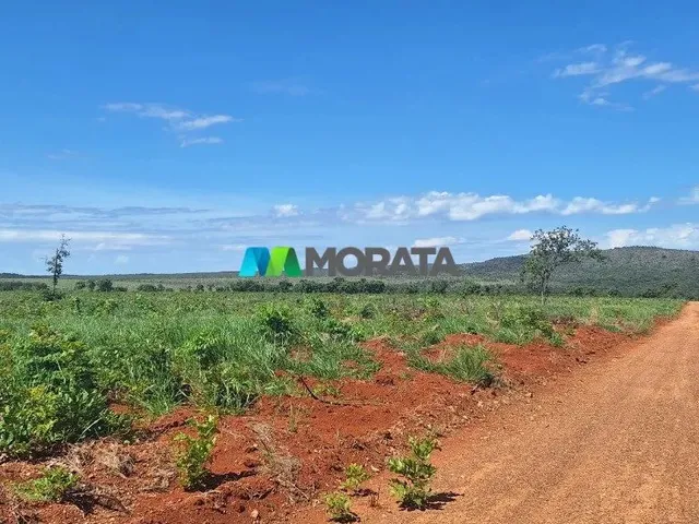 Imagem: Fazenda À Venda - 385 Hectares - Corinto