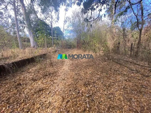 Imagem 10: Fazenda À Venda - 490 Hectares - Corinto (Mg