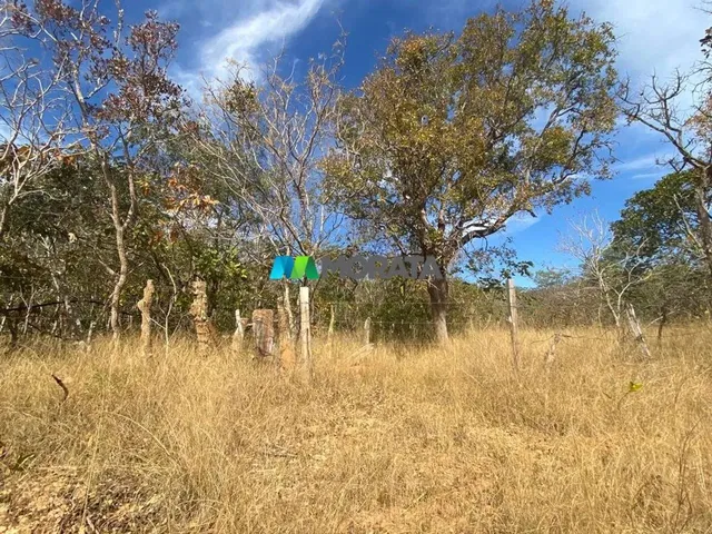 Imagem 5: Fazenda À Venda - 490 Hectares - Corinto (Mg