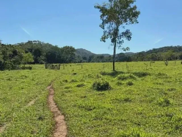 Imagem: Fazenda em Paracatu Mg de 213 Hectares com