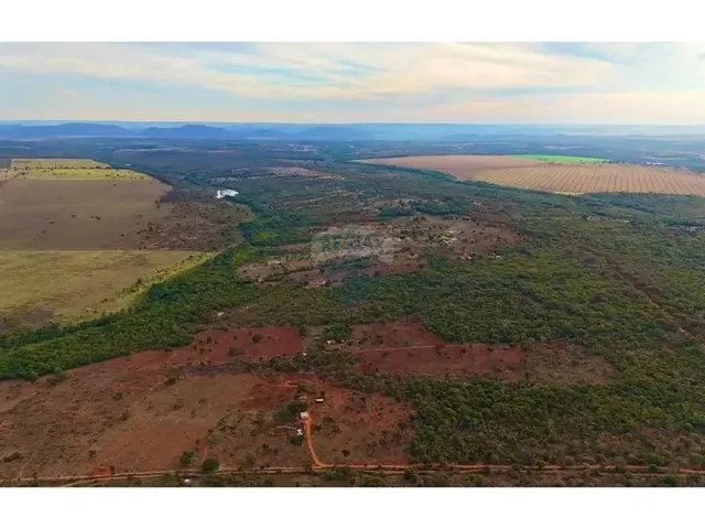 Imagem: Terra À Venda 30 Hectares Região da Jesualda