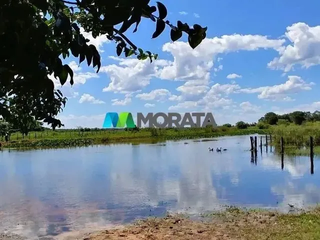 Imagem: Fazenda À Venda - 664 Hectares - Januária