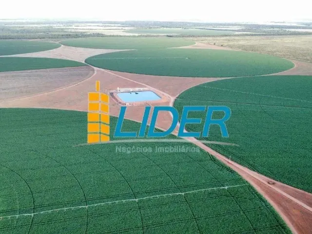 Imagem: Excepcional Fazenda com 987 Hectares Sendo