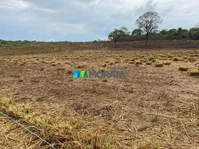 Imagem: Fazenda À Venda - 275 Hectares - Região
