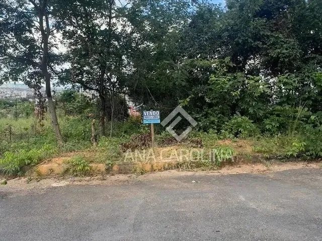 Imagem: Lotes para Venda no Bairro Sapucaia - Oportunidade!