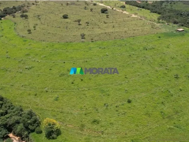 Imagem: Fazenda À Venda - 273 Hectares - Três
