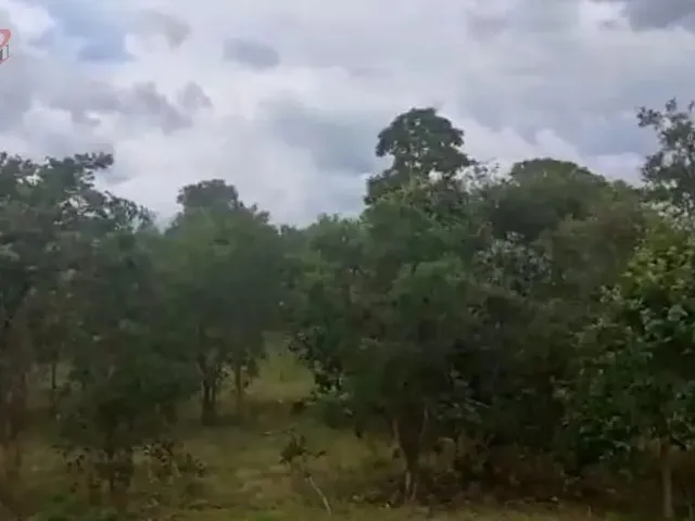 Imagem 7: Fazenda para Venda em Centro Chapada Gaúcha-Mg