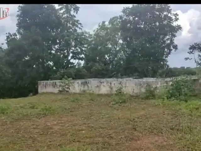 Imagem 13: Fazenda para Venda em Centro Chapada Gaúcha-Mg