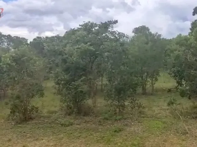 Imagem 2: Fazenda para Venda em Centro Chapada Gaúcha-Mg