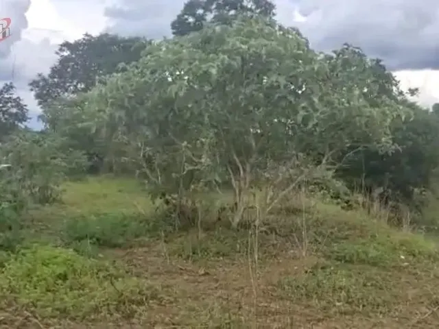 Imagem 4: Fazenda para Venda em Centro Chapada Gaúcha-Mg