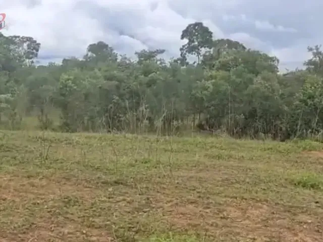 Imagem 3: Fazenda para Venda em Centro Chapada Gaúcha-Mg
