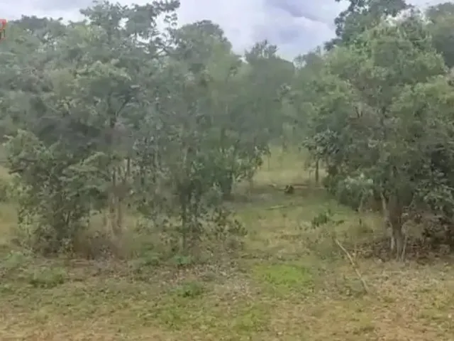 Imagem 9: Fazenda para Venda em Centro Chapada Gaúcha-Mg