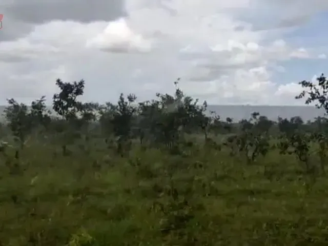 Imagem 6: Fazenda para Venda em Centro Chapada Gaúcha-Mg