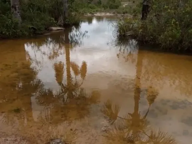 Imagem 10: Fazenda para Venda em Centro Chapada Gaúcha-Mg