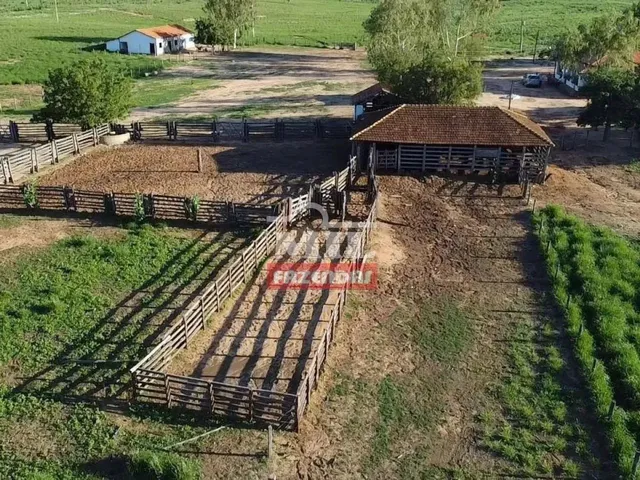 Imagem: Fazenda 2000 Hectares Jaiba - Mg
