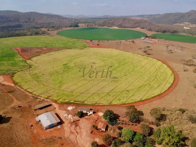 Imagem: Fazenda com Pivô em Unaí em Minas Gerais